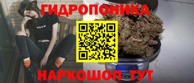 крисы Дубна