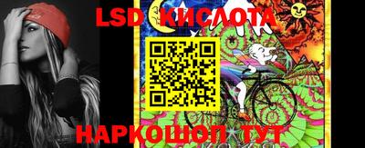 крисы Дубна