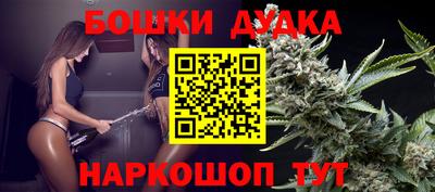 крисы Дубна